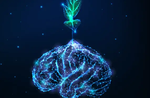 Futuristic growing mindset concept with glowing low polygonal green plant growing from human brain isolated on dark blue background. Modern wireframe design vector illustration
